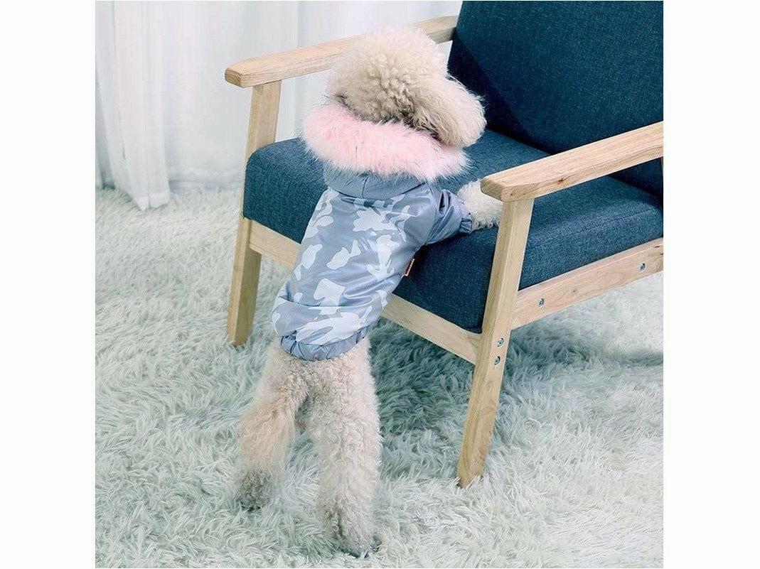 Dog S Chest 40cm Silver