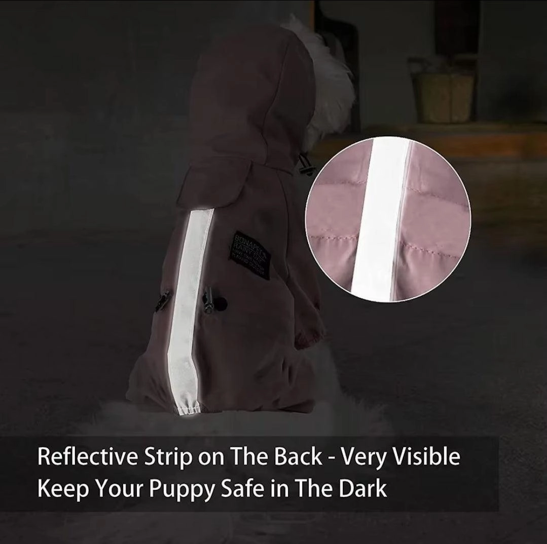 Dog Sports Raincoat