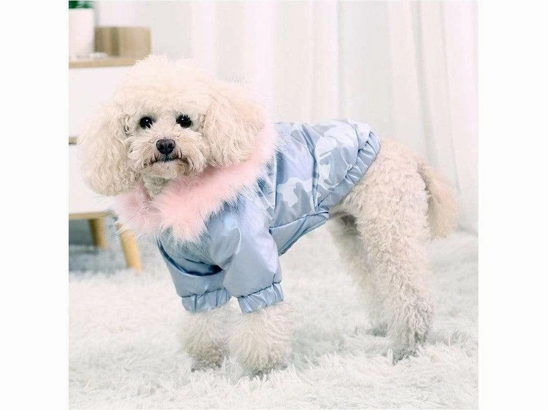 Dog XS Chest 35cm Silver