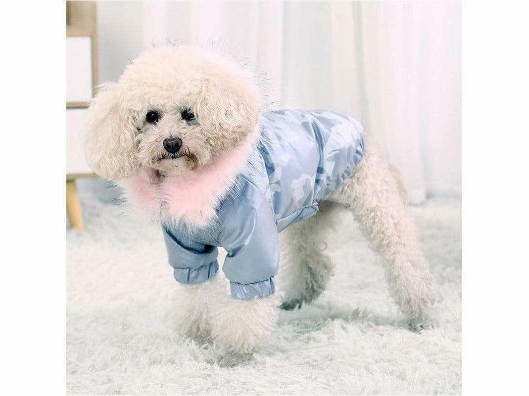 Dog XS Chest 35cm Silver