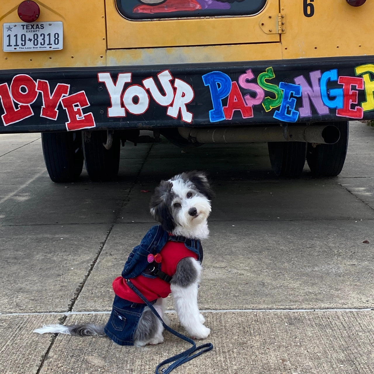 Doggie Denim Backpack Harness Vest