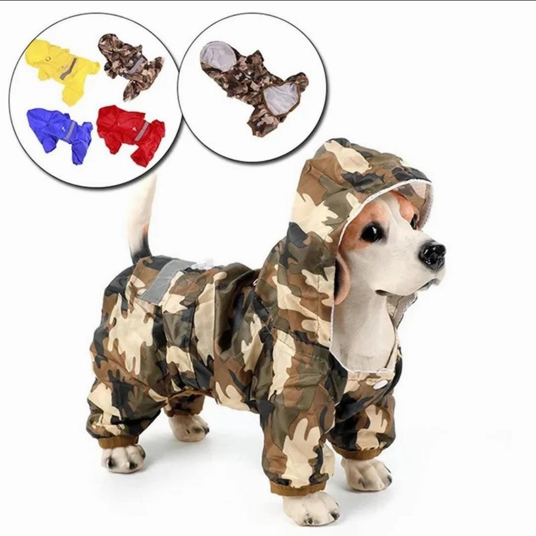 Doggy Raincoat