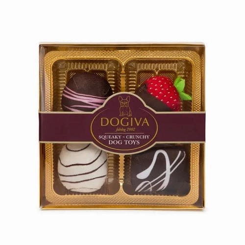 Dogiva Box of Chocolates Dog Toy