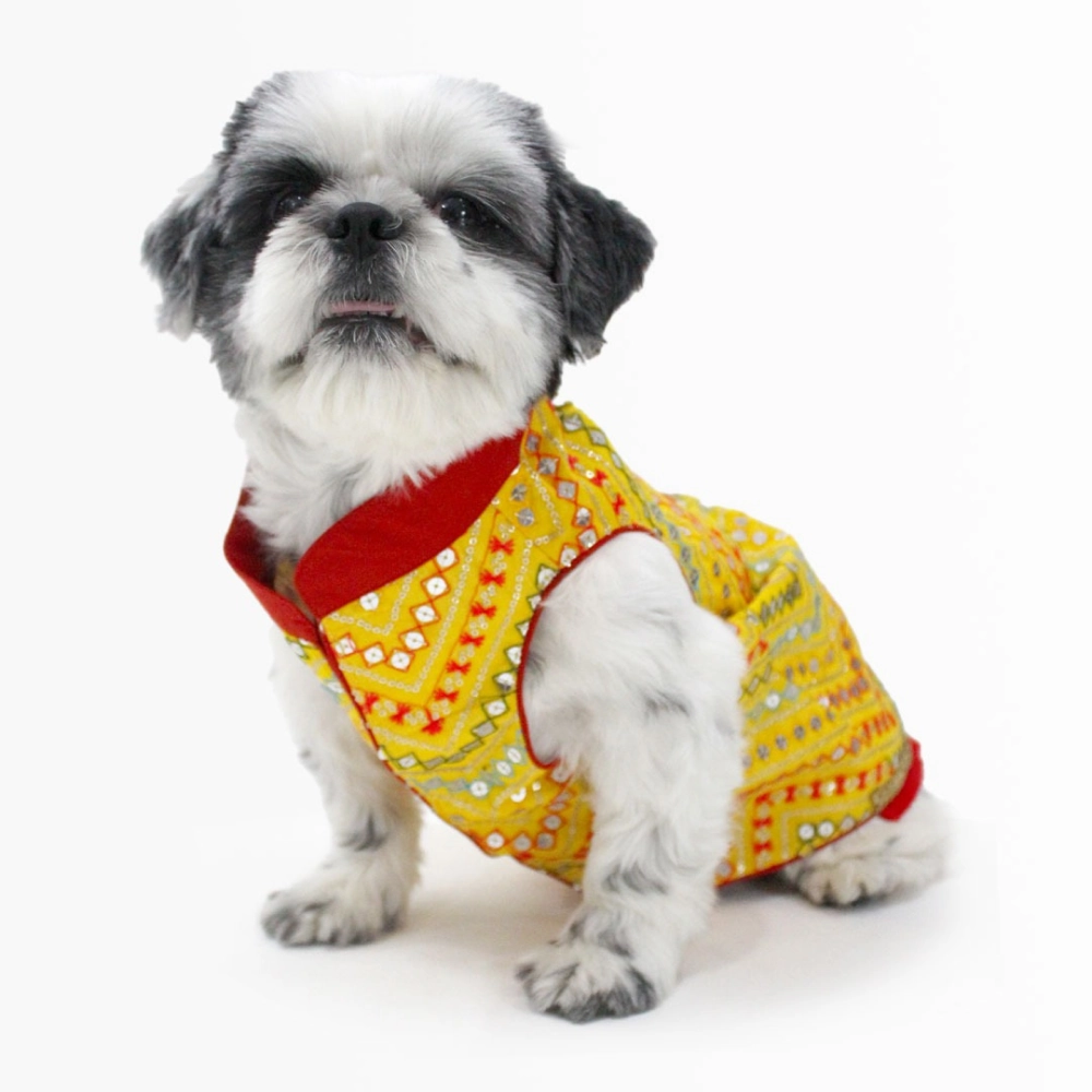 Dogobow Embroidered Sherwani for Dogs (Yellow)