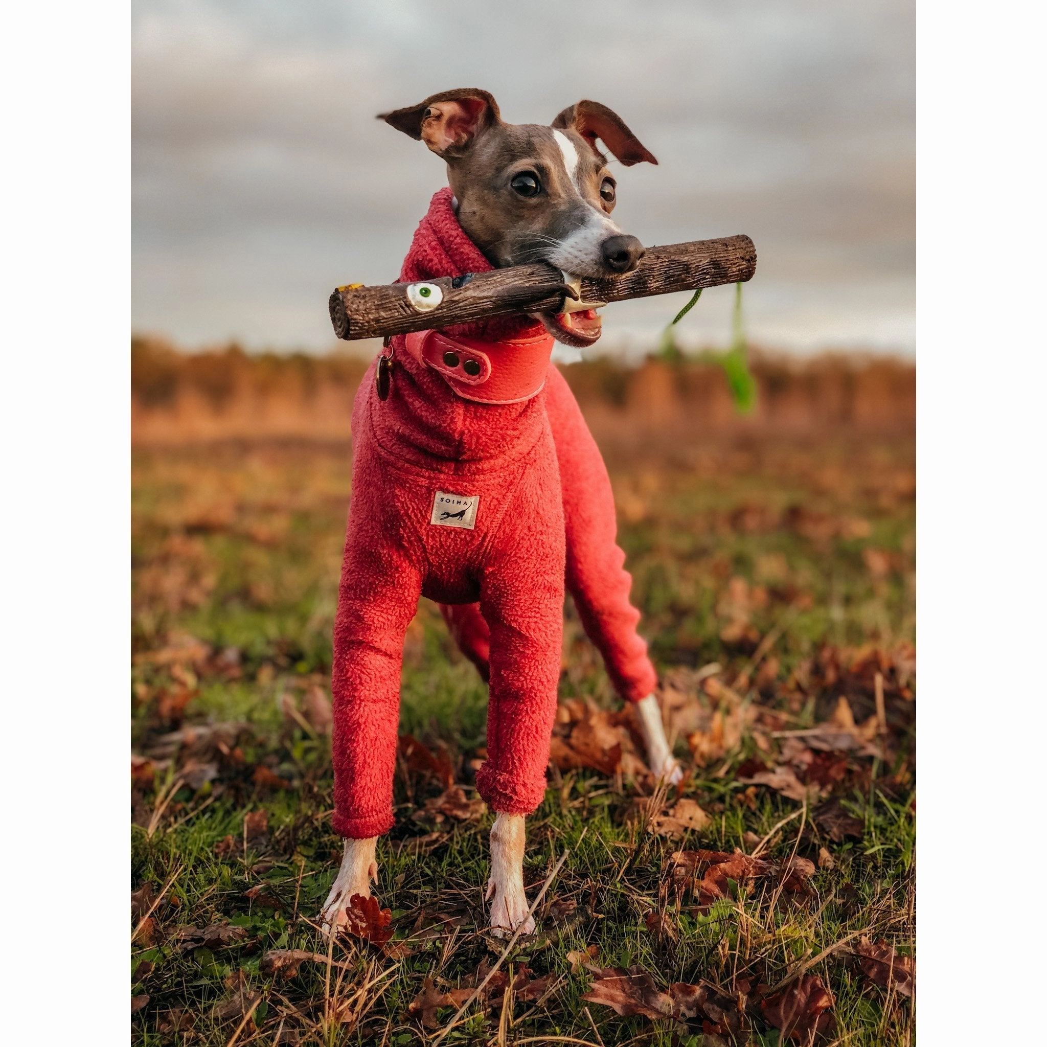 Doog Stick Dog Toy Uncle Chuck