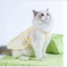Dotted Tutu Yellow