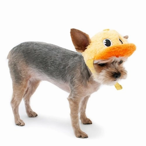 Duck Baseball Hat Yellow