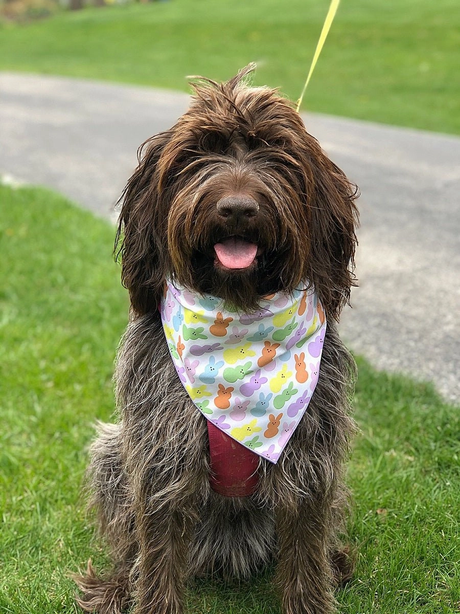 Easter Peeps Bandana