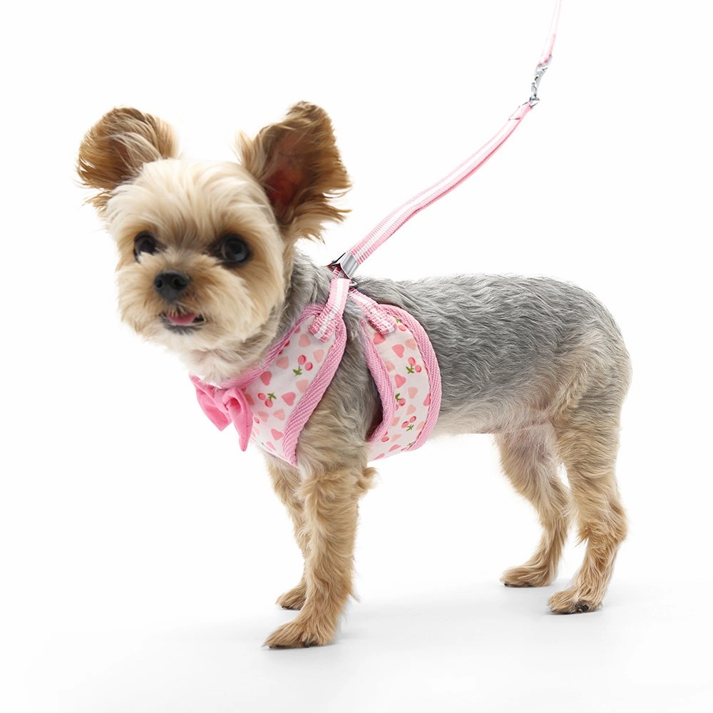 EasyGO Cherish Heart Harness