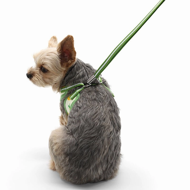 EasyGO Pineapple Yellow Harness