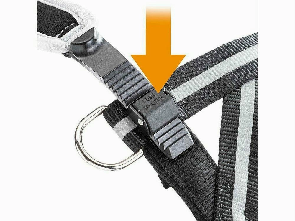ERGOCOMFORT NORDIC 1 PETTORINA