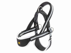 ERGOCOMFORT NORDIC 2 PETTORINA