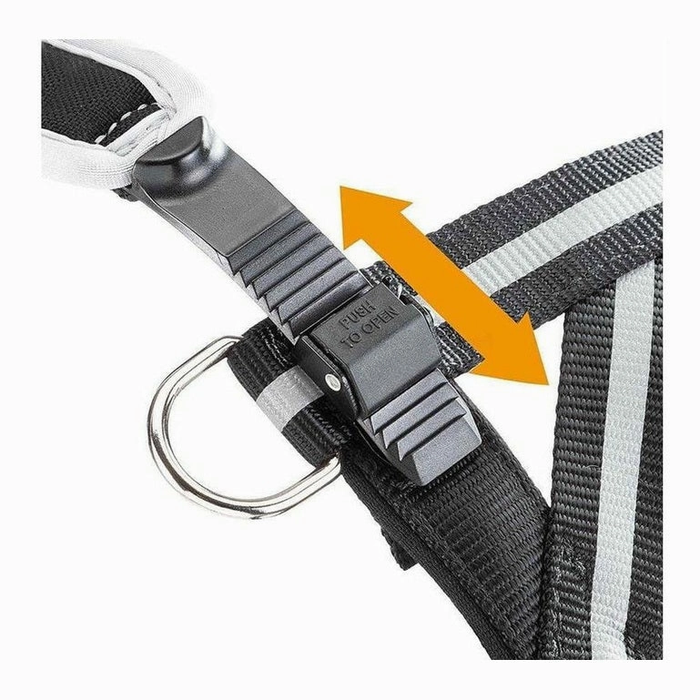 ERGOCOMFORT NORDIC 3 PETTORINA
