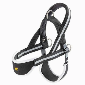 ERGOCOMFORT NORDIC 3 PETTORINA