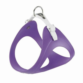 Ergoflex P L Viola Pettorina