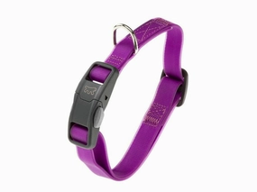EVOLUTION C16/44 VIOLA COLL.