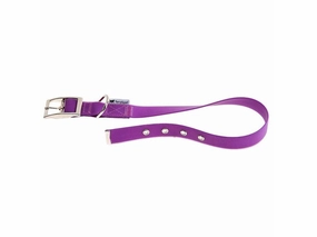 EVOLUTION CF16/37 VIOLA COLL.