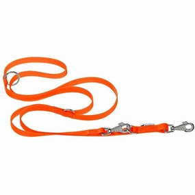 EVOLUTION GA25/200 ON LEASH.