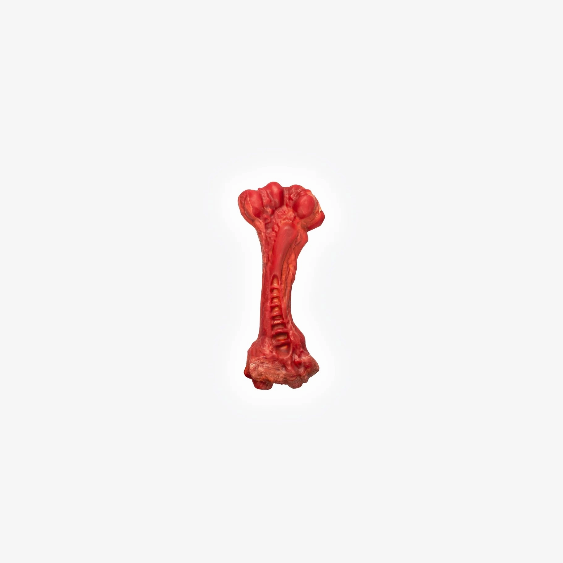 EzyDog Ezy Bones Beef Infused Dog Toy Small