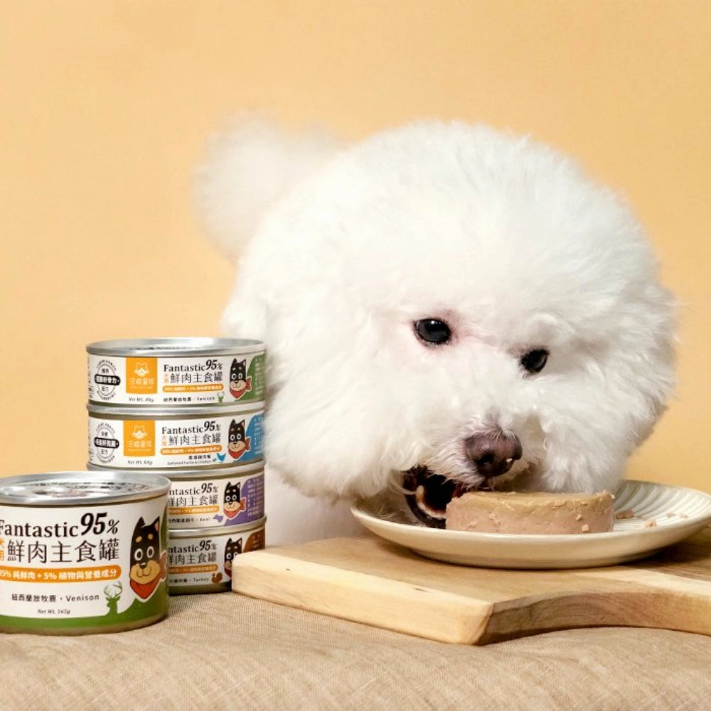Fantastic 95% - Softshell Turtle & Chicken Complete Balanced Dog Can