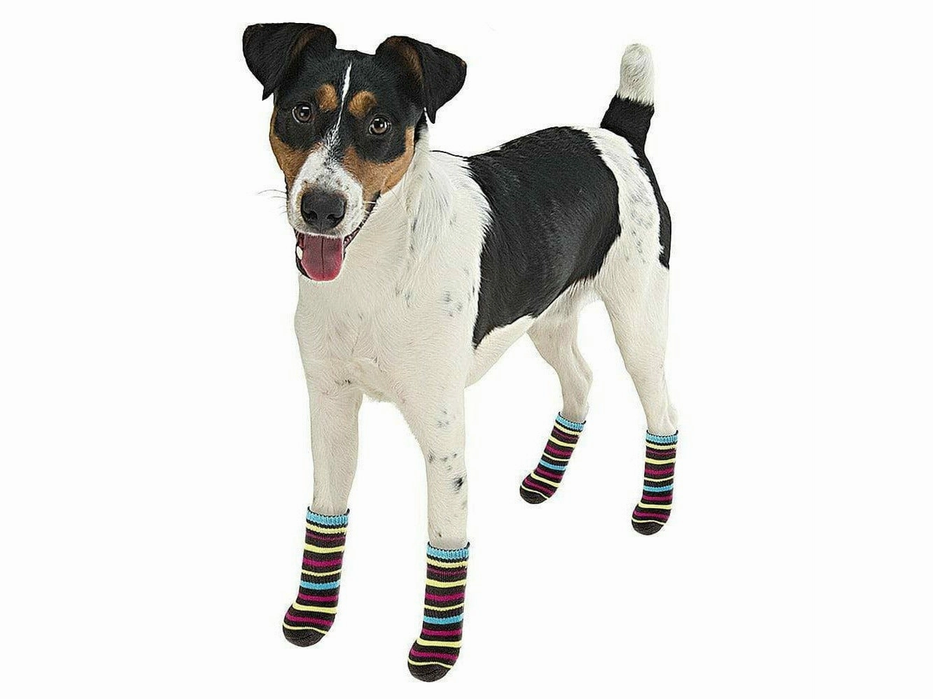 FERPLAST PET SOCKS ANTISLIP MEDIUM (x4)