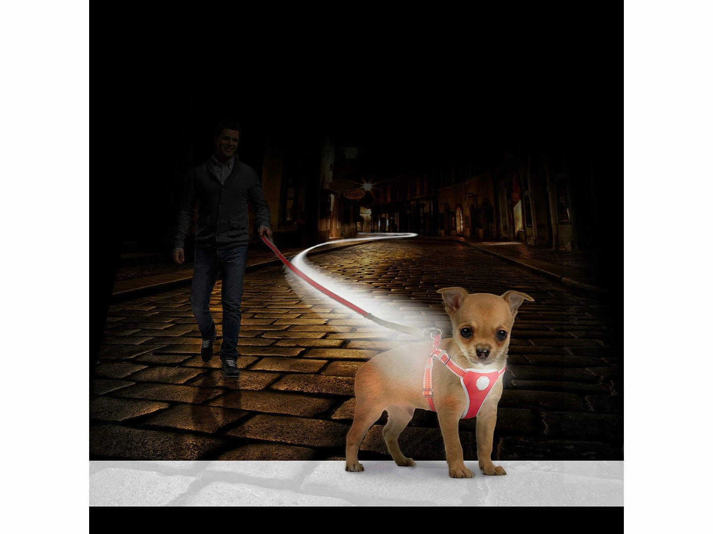 FLASHLIGHT HARNESS WITH LEASH 120x35-45cm/15mm