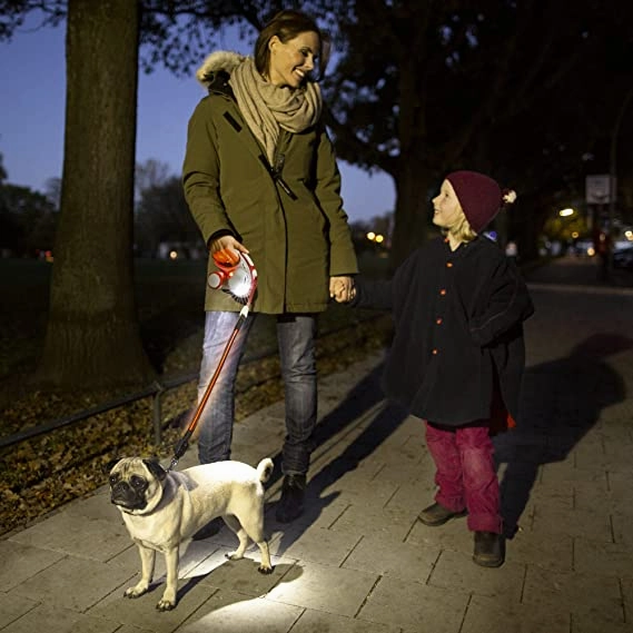 Flexi Vario LED Flash Belt