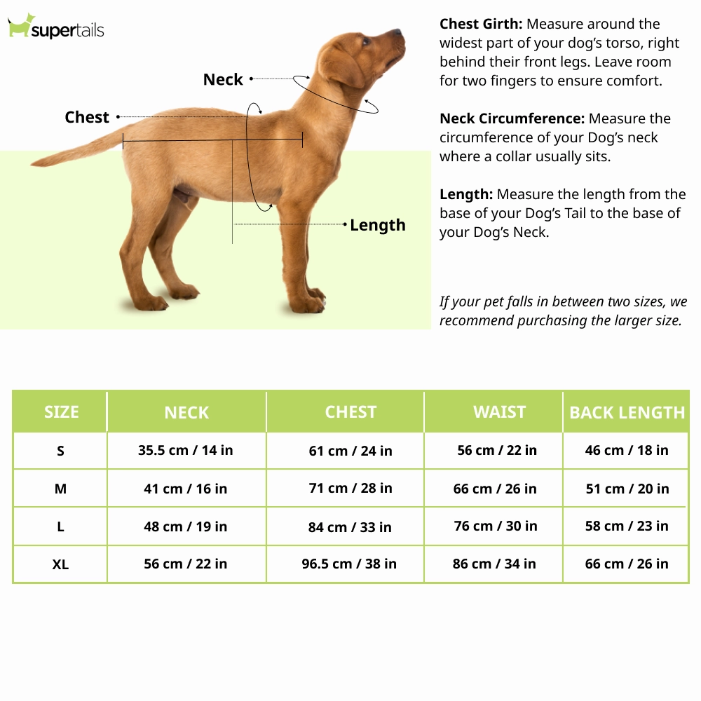 Floof & Co Banarasi Sherwani for Dogs (Mint Green/Gold)