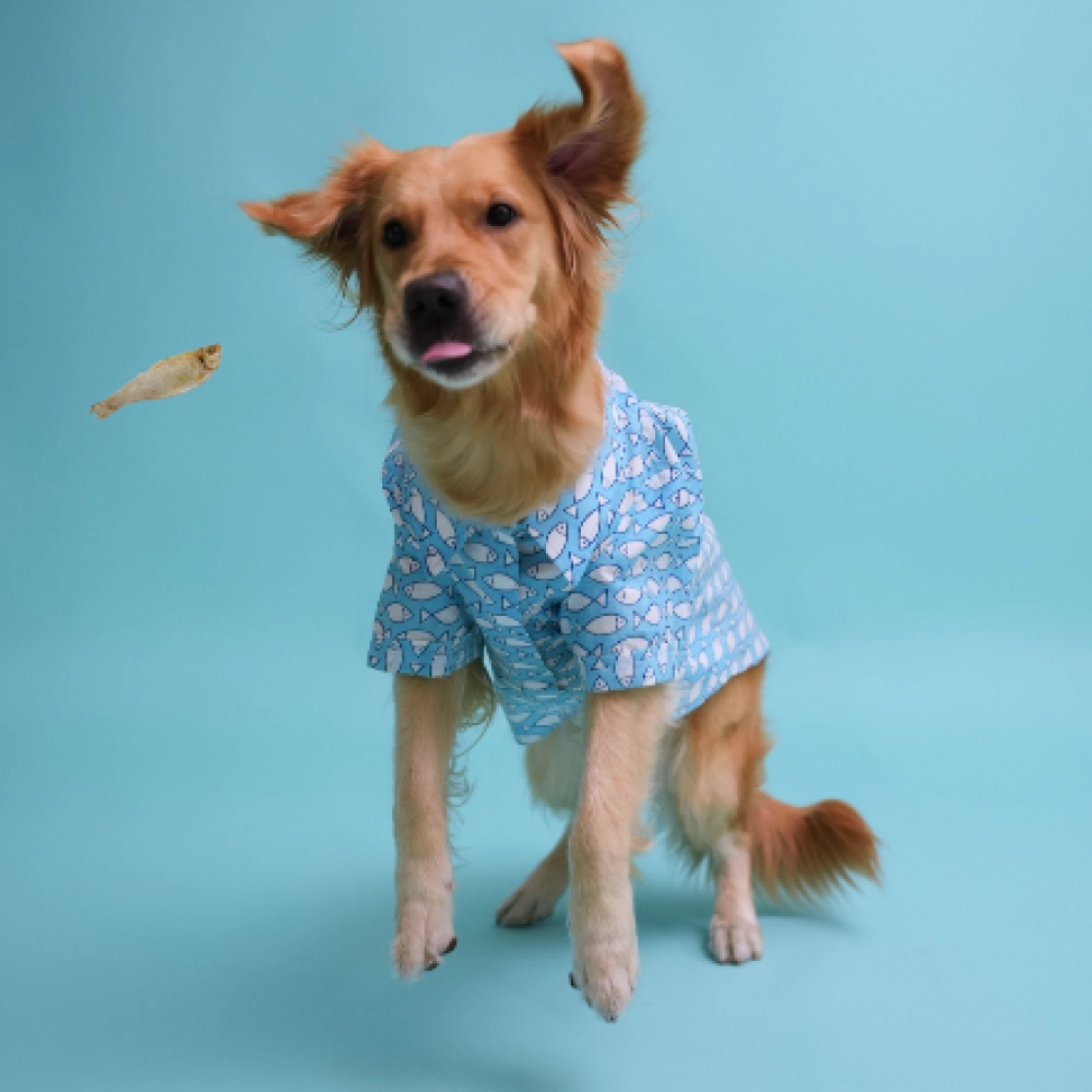 Floof & Co Fish Print Cotton Shirt for Dogs (Blue)