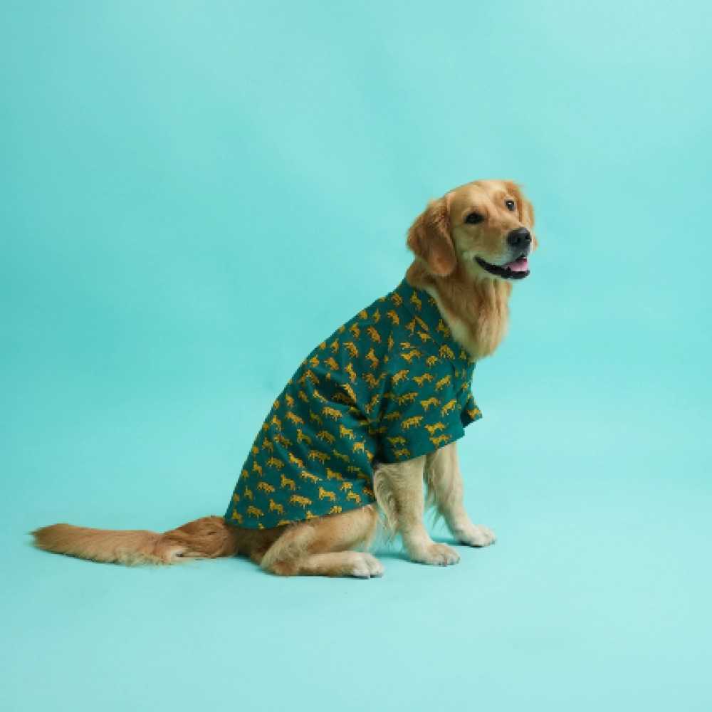 Floof & Co Leapord Print Cotton Shirt for Dogs (Dark Green)