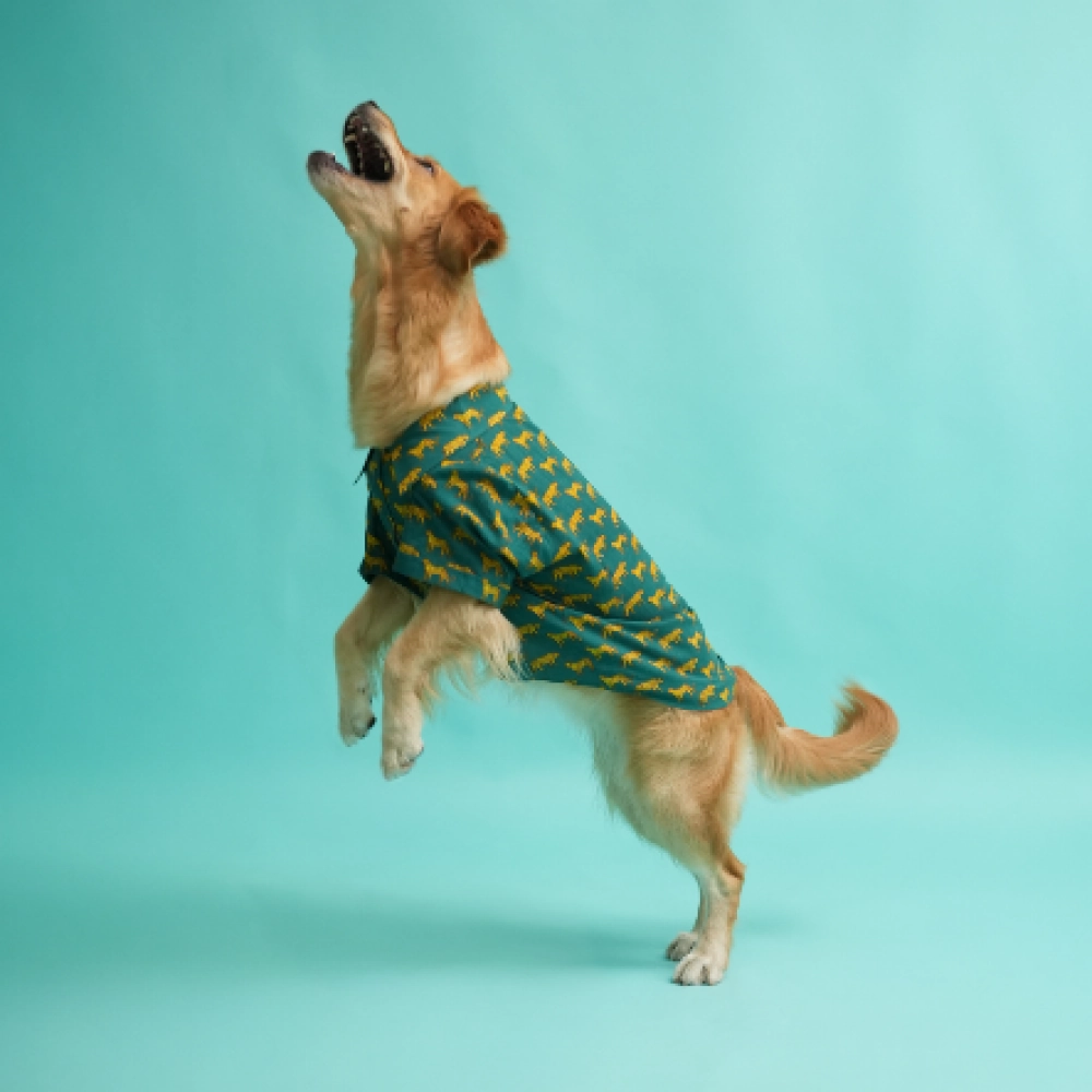 Floof & Co Leapord Print Cotton Shirt for Dogs (Dark Green)