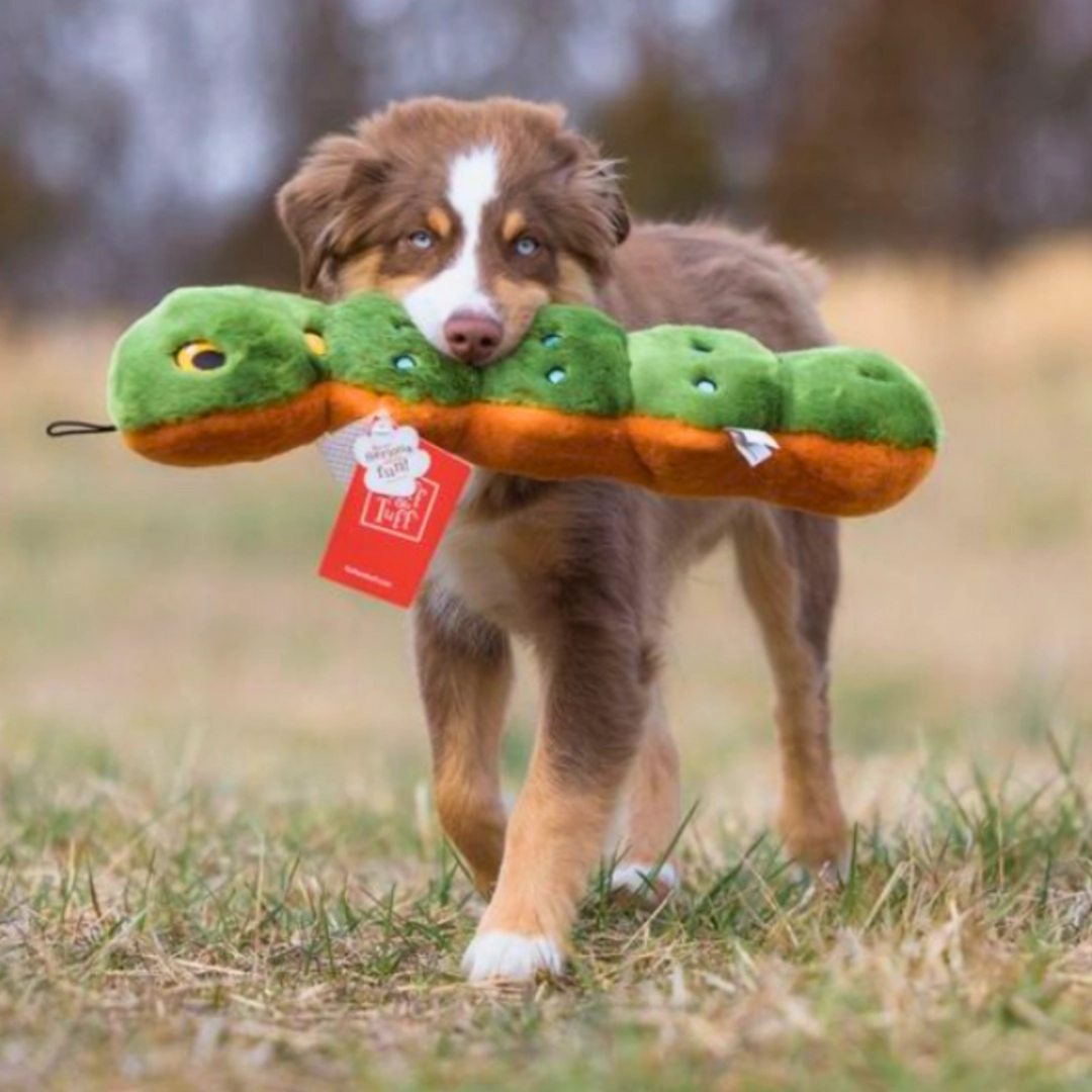 Fluff & Tuff Katie Caterpillar Plush Dog Toy