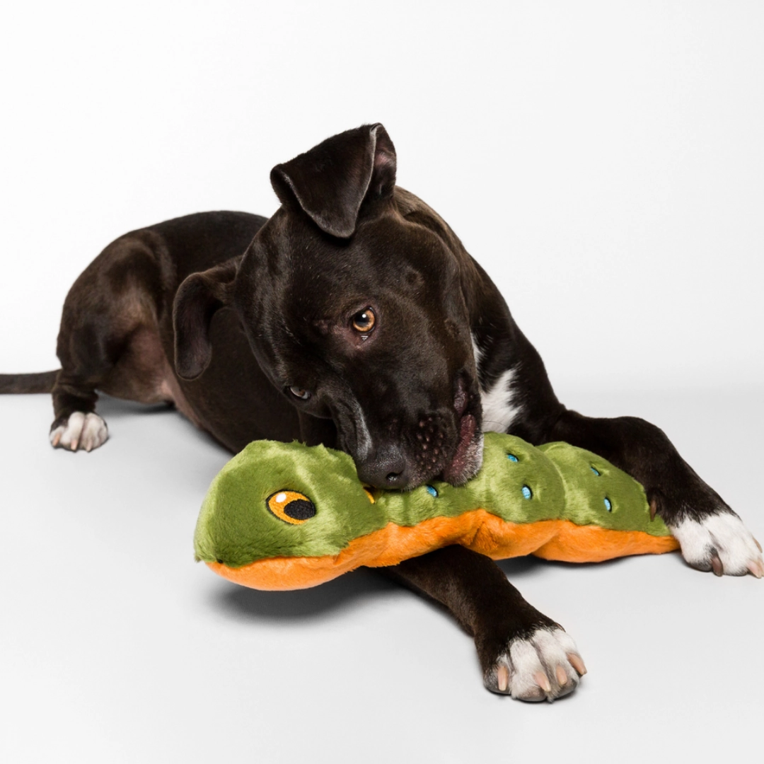 Fluff & Tuff Katie Caterpillar Plush Dog Toy