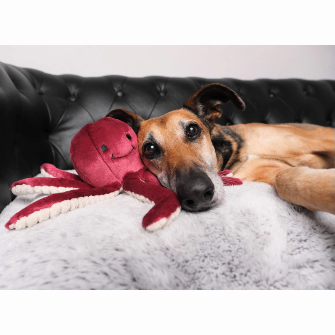 Fluff & Tuff Olympia Octopus Plush Toy