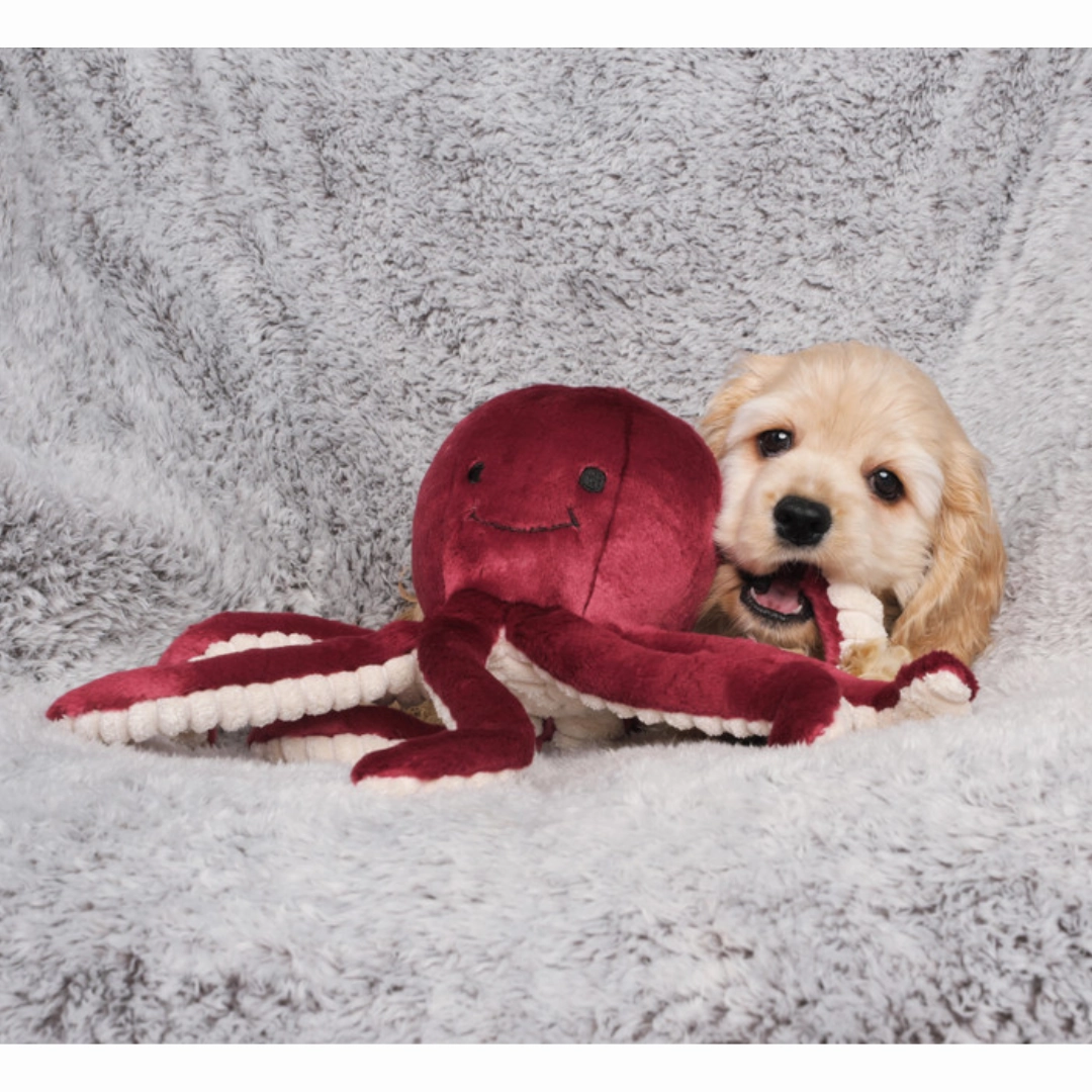 Fluff & Tuff Olympia Octopus Plush Toy