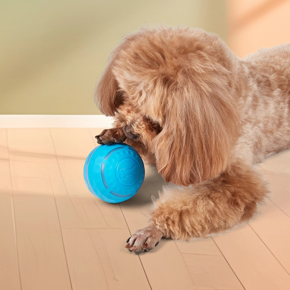 FOFOS Rechargeable Rolling Ball Smart Toy for Dogs