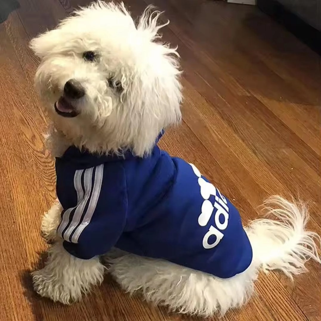 Footy Dog Hoody!