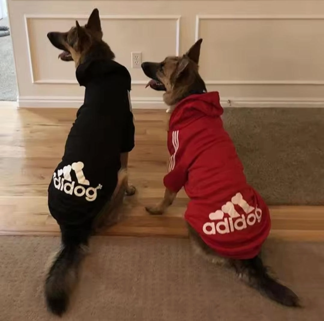 Footy Dog Hoody!