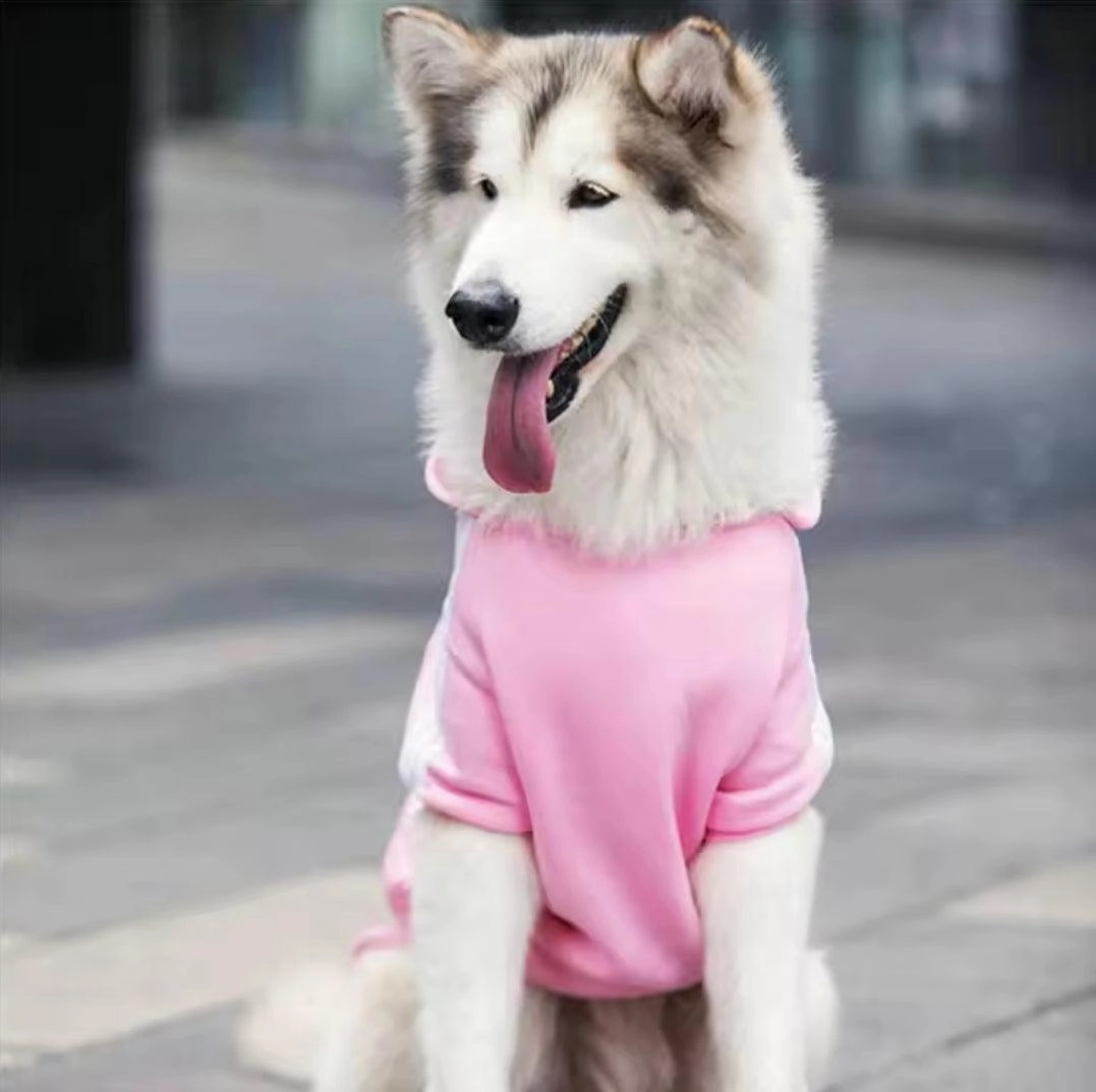 Footy Dog Hoody!