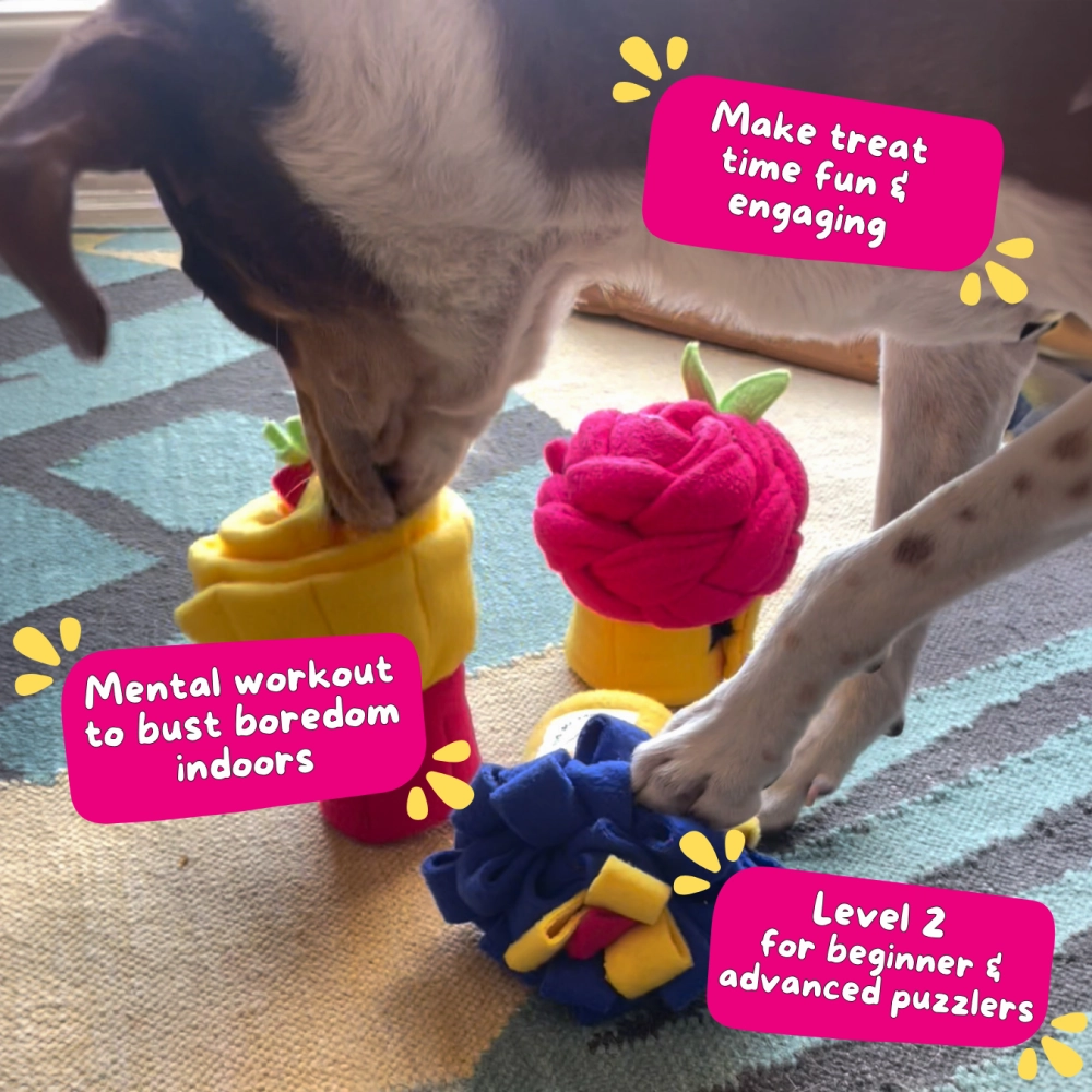 For The Love Of Dog Box of 3 Snuffle Pupcake Toy for Dogs