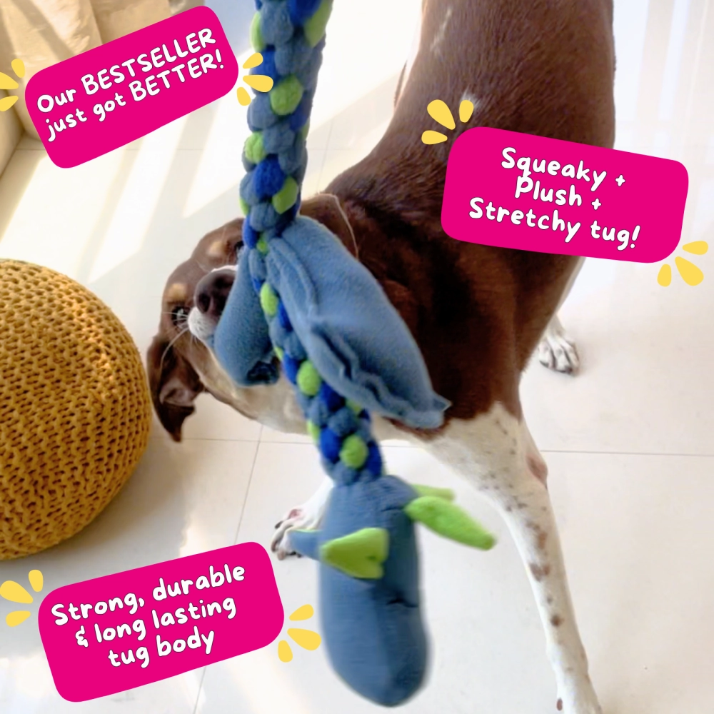 For The Love Of Dog Mr Tugasaur Squeaky Toy for Dogs (Blue/Green/Grey)
