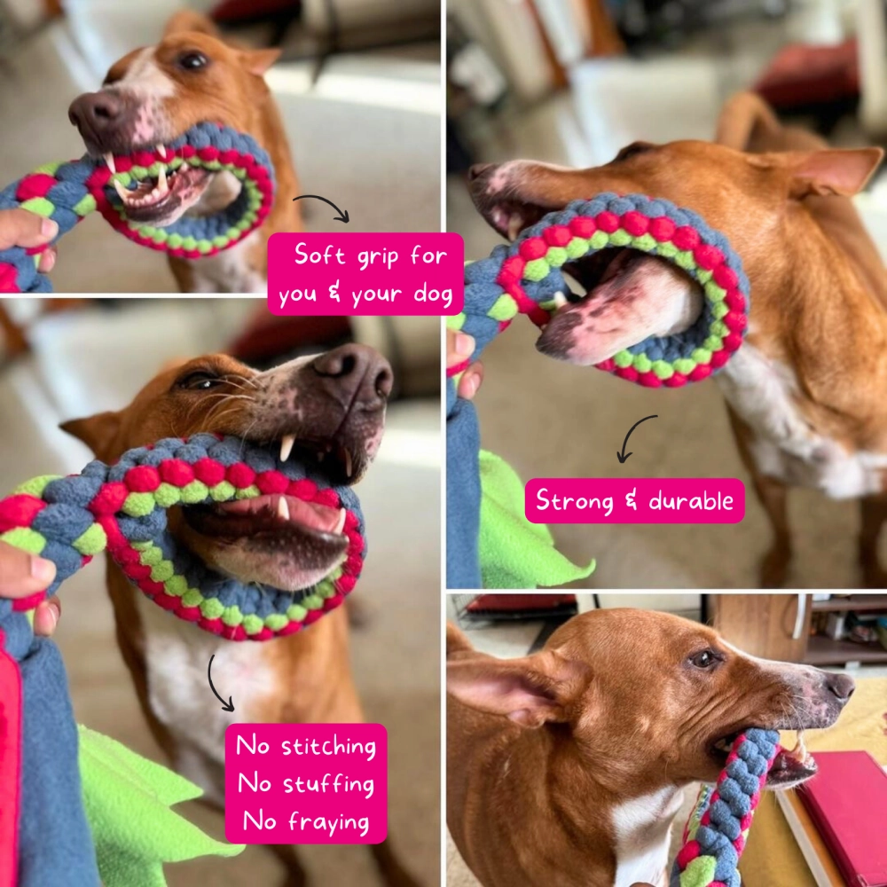 For The Love Of Dog Tug O Loop Chew Toy for Dogs (Pink/Green/Blue)