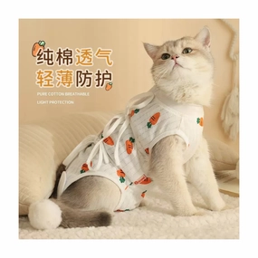 Fruit and Carrot Neutering Suit