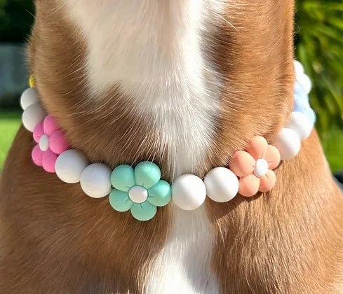 Full Blooms Beaded Pet Collar