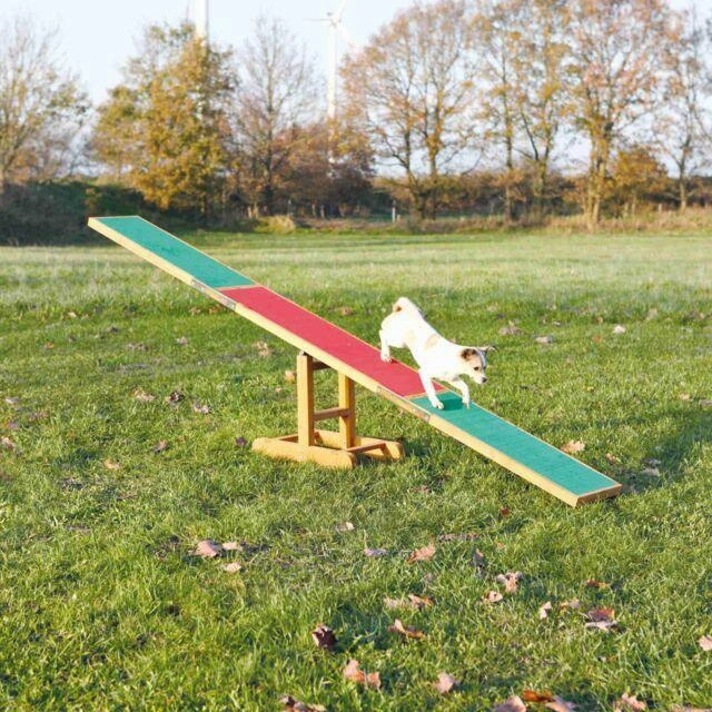 Fun Agility seesaw