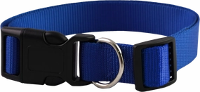 Furwear - Basic Dog Collar (Blue)