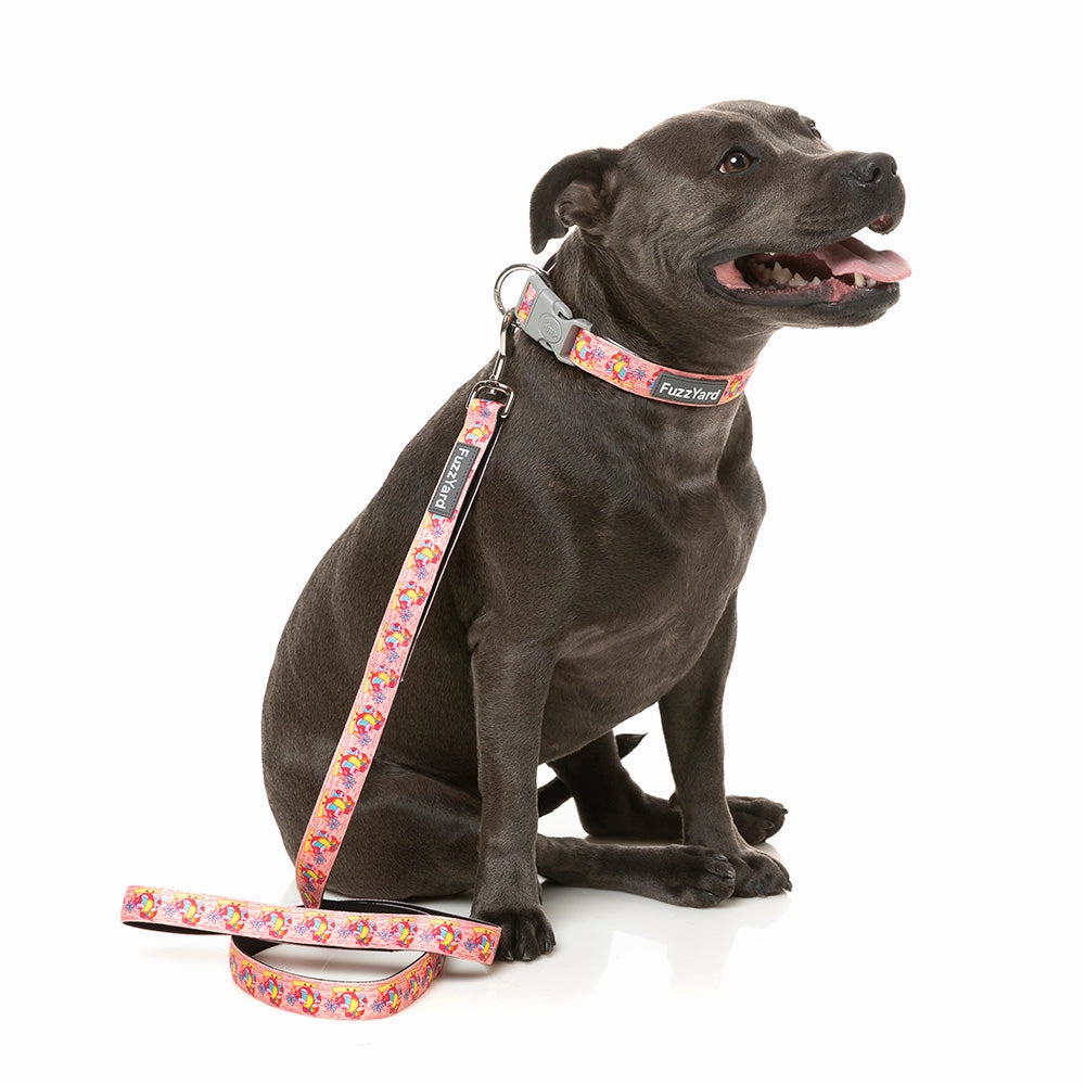 Fuzzyard Dog Lead Two-Cans L 2.5cm x 140cm