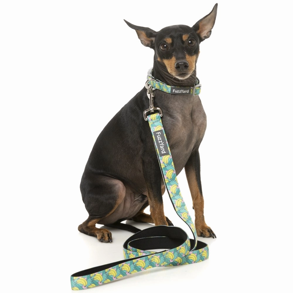 FuzzYard Dog Leash (Bananarama)