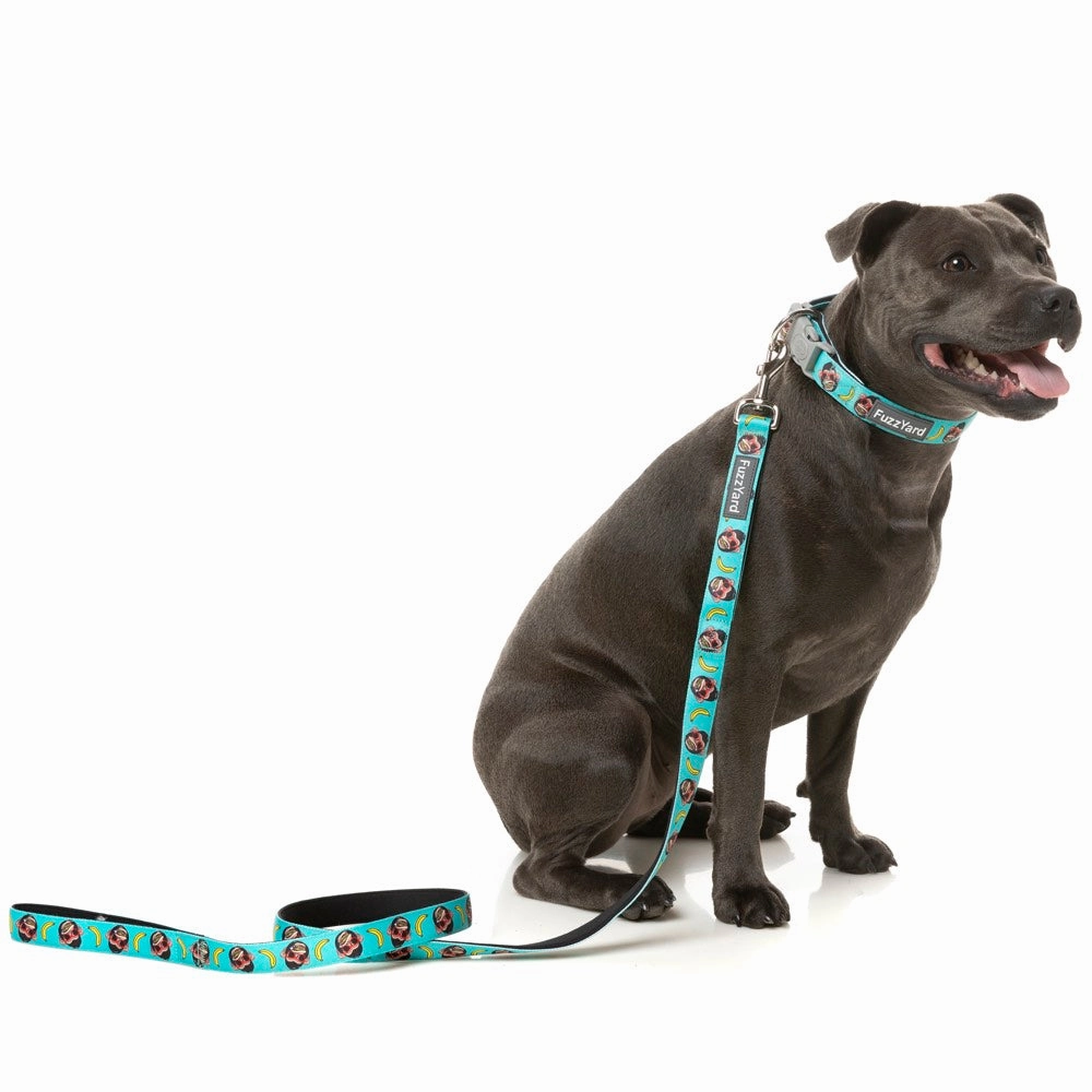 FuzzYard Dog Leash (Gor-illz)