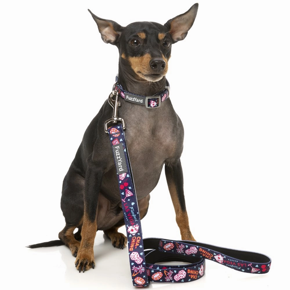 FuzzYard Dog Leash (Jackpup)